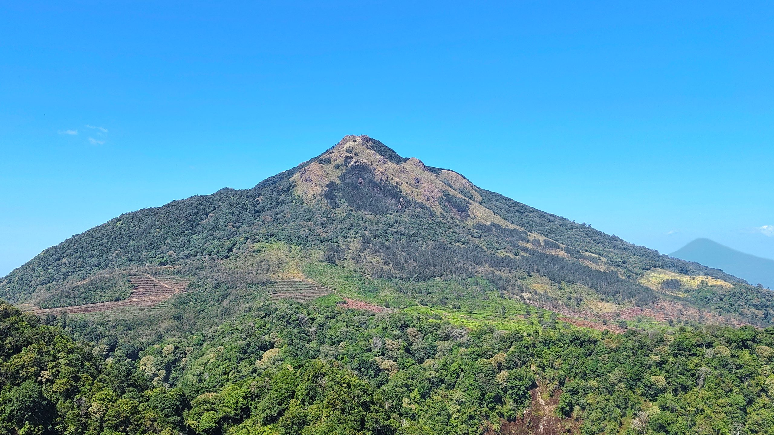 Punggungan gunung berkabut dengan vegetasi hijau lebat, lokasi lintasan Semarang Mountain Race